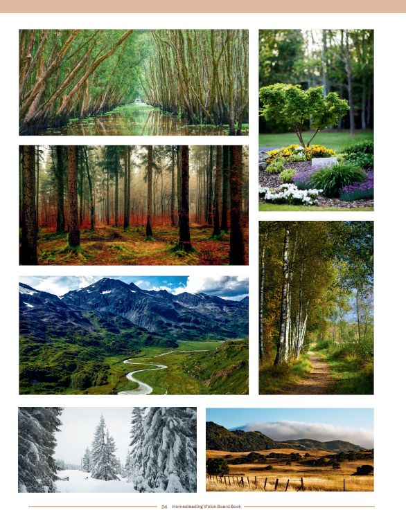 Homesteading Vision Board Book