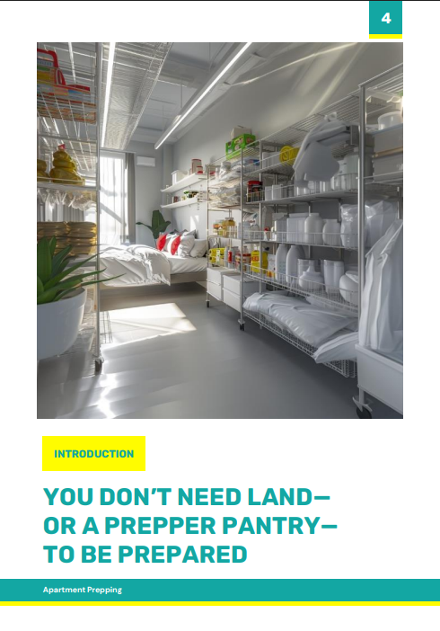 Prepping in Tiny Spaces E-book